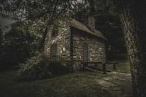 Read more about the article Success6